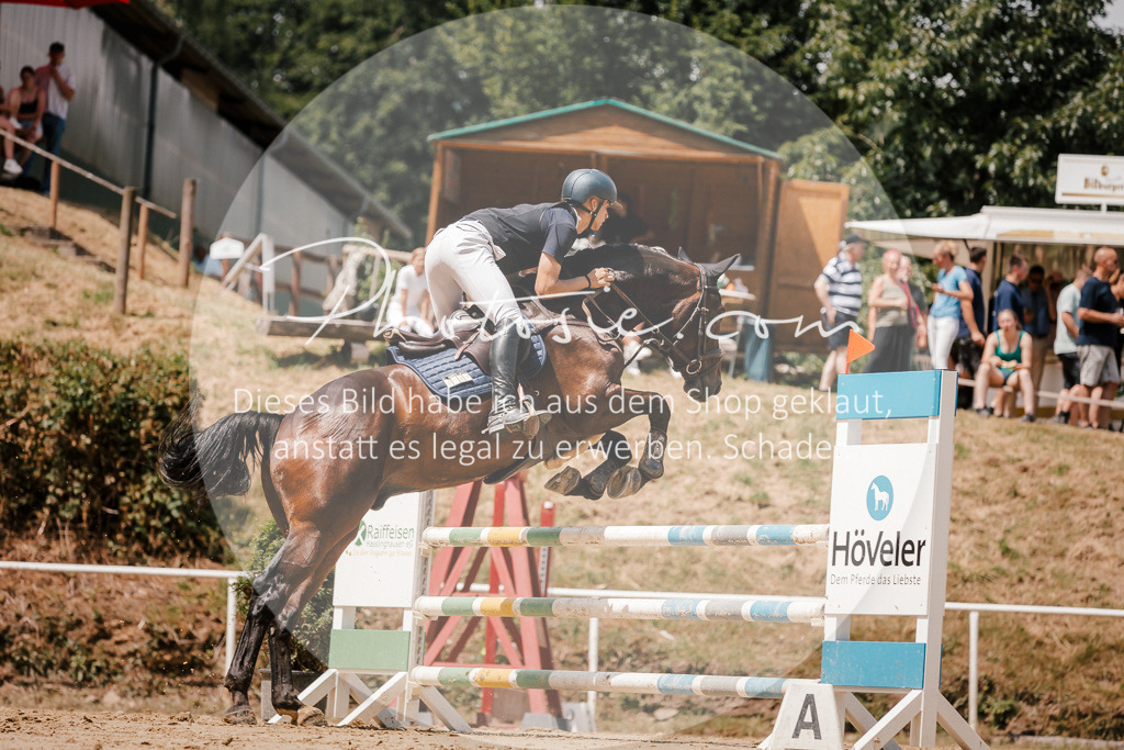 3I6A8089 | Stimmungsvolle Portraits und Reitsportfotografie im Ruhrgebiet und im Münsterland.

Pferdefotografie, Hundefotografie, Tierfotografie, Reportagen, Portraits von Tier und Mensch, Turnierfotografie in Bochum, Recklinghausen, Marl, Haltern am See, Dülmen.. - Realisiert mit Pictrs.com