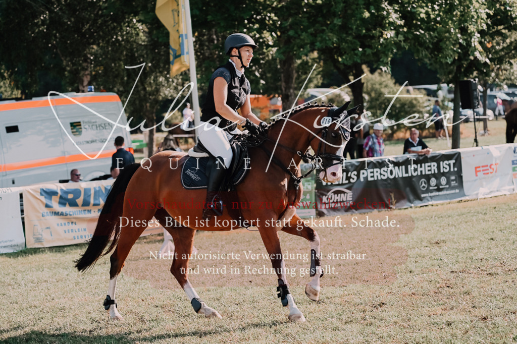 DSC_4738 | Pferde- und Turnierfotografie in Westsachsen. Pferdeportraits, Auftragszeichnungen und intuitive Kunst.