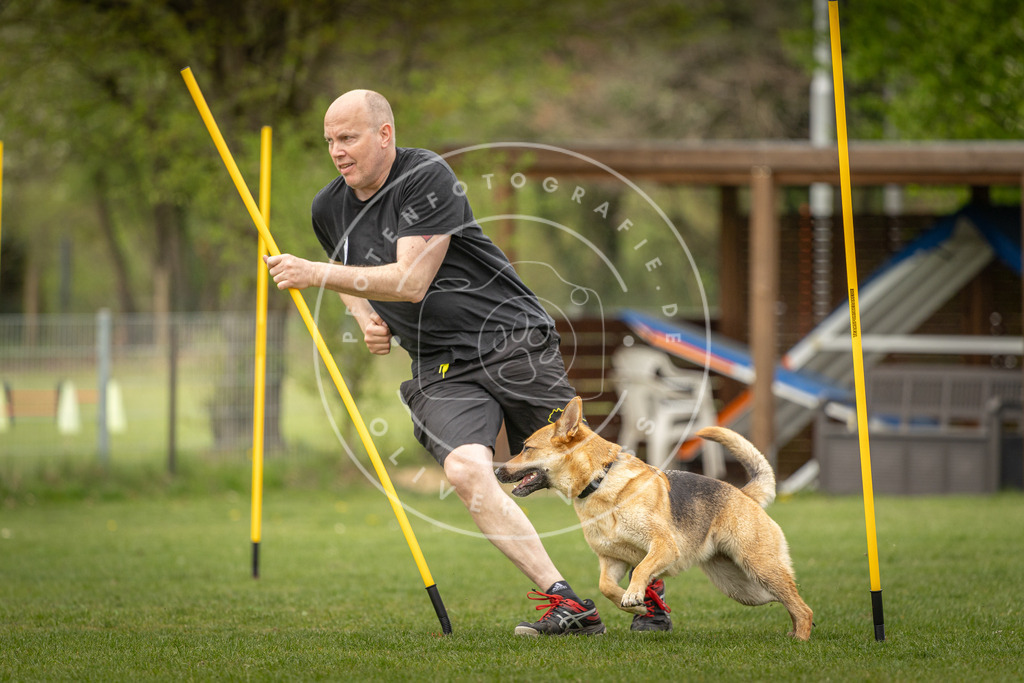 Pfotenfotografie_DV3A2202 | Hundefotografie, Tierfotograf, Pfotenfotografie, Fotoshooting Hund, Hunde Portrait, Hundesport, Hundeportraits, Heideshooting, Hunde, Sportfotograf, Hundefotograf, Turnierhundsport, THS,  - Realisiert mit Pictrs.com