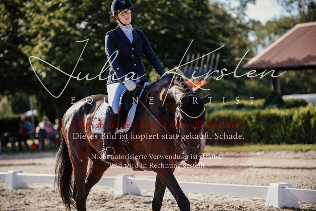 DSC_0558 | Pferde- und Turnierfotografie in Westsachsen. Pferdeportraits, Auftragszeichnungen und intuitive Kunst.