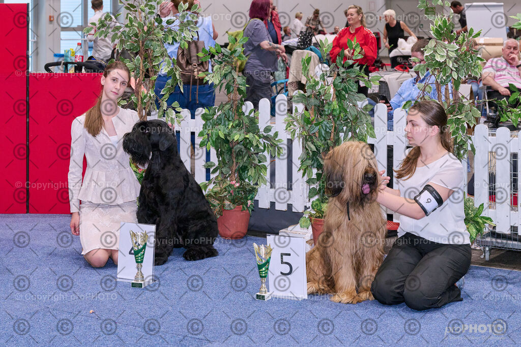 202406_ÖKV-IHA-Tulln24_NZ9_8582 | proPHOTO - Realisiert mit Pictrs.com