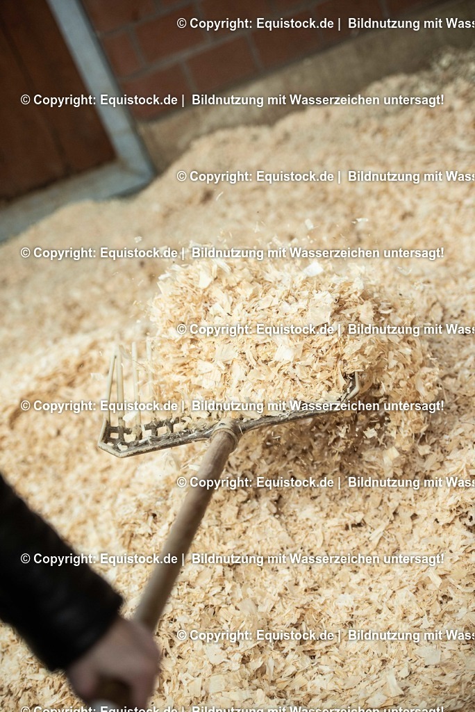 20190409_Einstreu_in_Pferdebox_0048 | Foto: Thomas Hartig