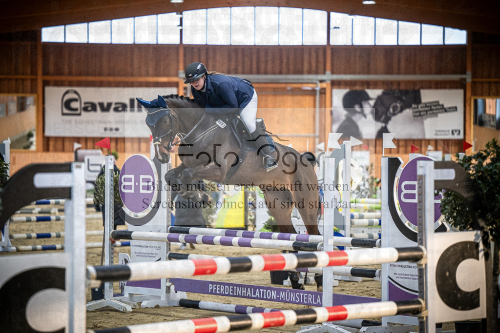 DOS_1290 | Entdecke hochwertige Reitturnierfotos von Foto Oger. Professionell, emotional und authentisch – jetzt Lieblingsmomente im Shop bestellen.Deutschlandweite Turnierfotografie. - Realisiert mit Pictrs.com