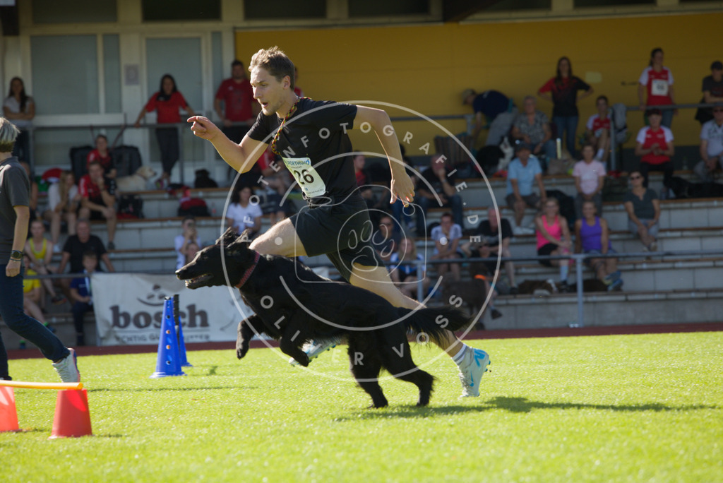 0L8A8682 | Hundefotografie, Tierfotograf, Pfotenfotografie, Fotoshooting Hund, Hunde Portrait, Hundesport, Hundeportraits, Heideshooting, Hunde, Sportfotograf, Hundefotograf, Turnierhundsport, THS,  - Realisiert mit Pictrs.com