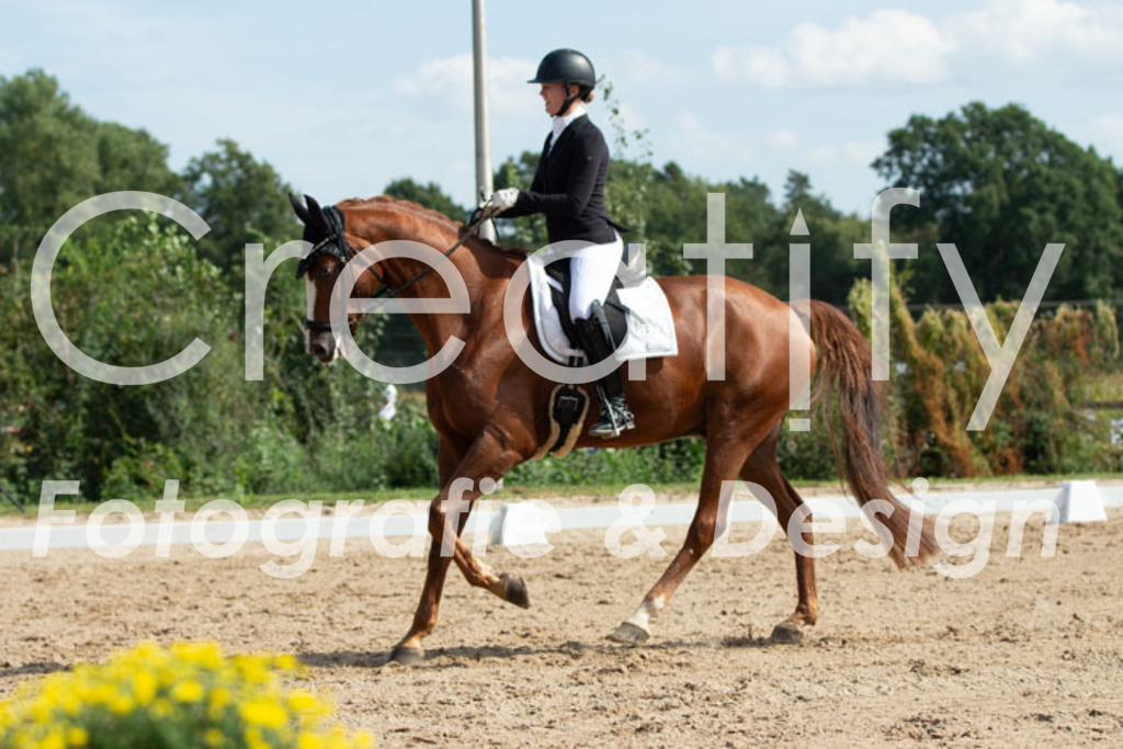 IMG_3019 | Creatify Fotografie