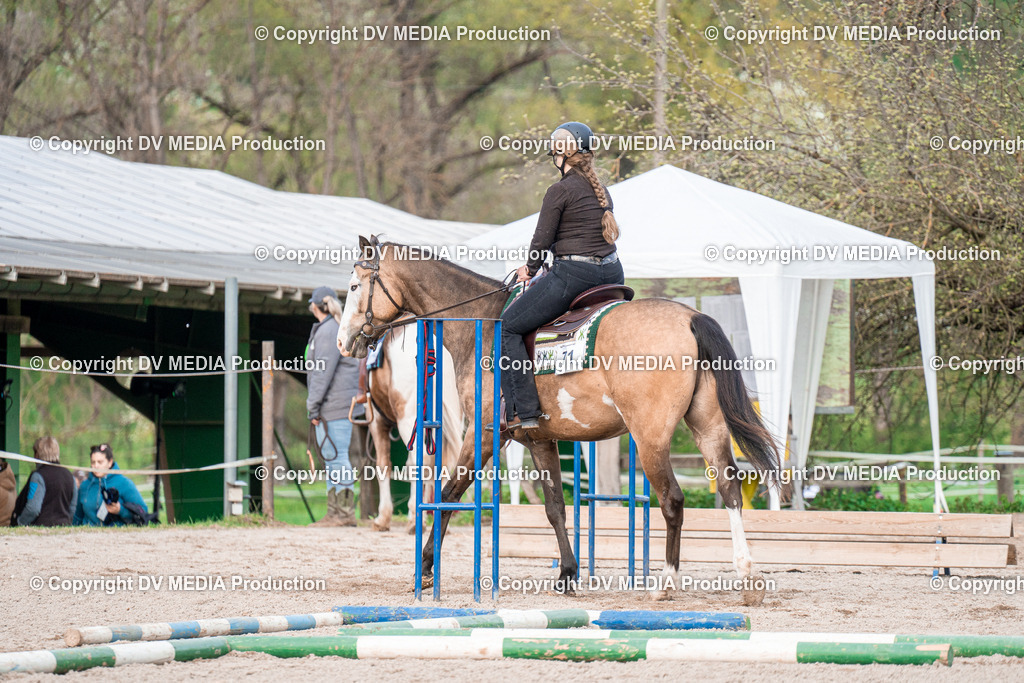 BAL02938 | dv-media-shop - Realisiert mit Pictrs.com