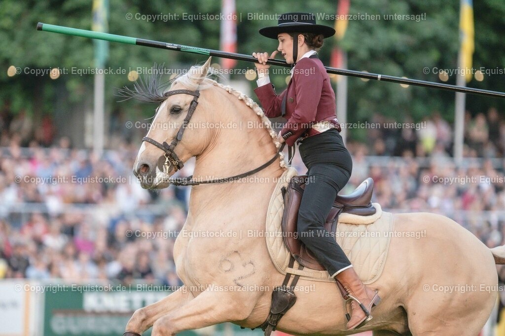 20230526_Pferdenacht_0763 | equistock