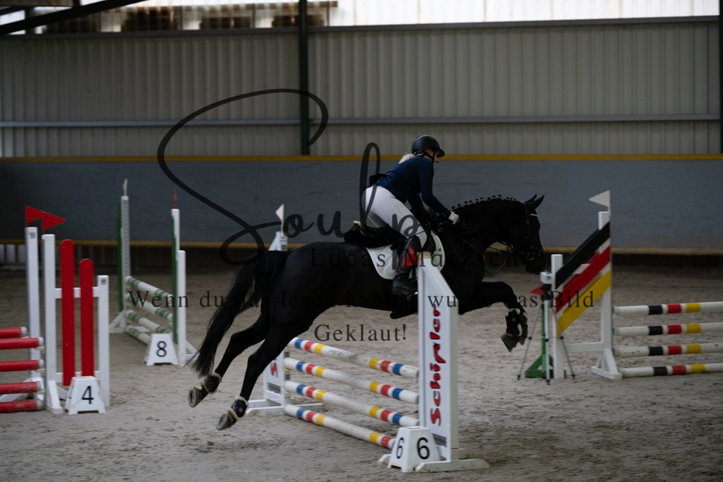 A7V00767 | Pferdefotograf