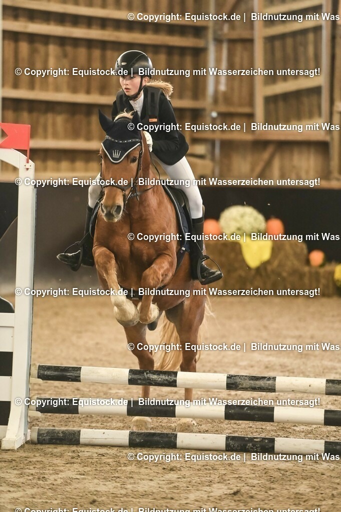 20231029_07_Stilspring-WB-50cm_0062 | Foto: Thomas Hartig