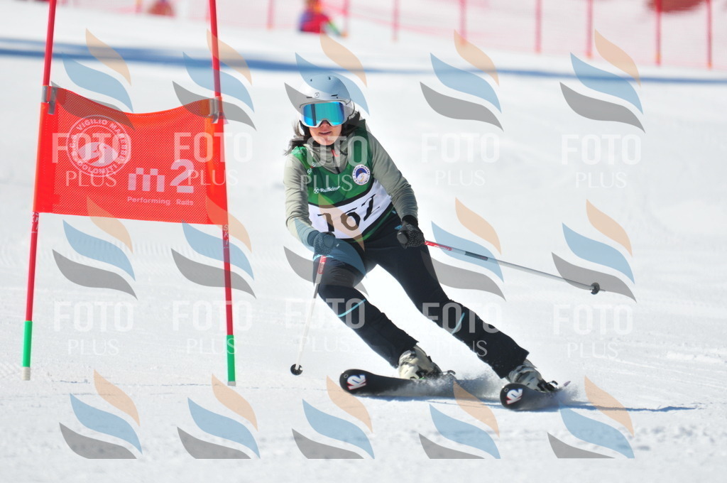 C4140 | holidayphoto