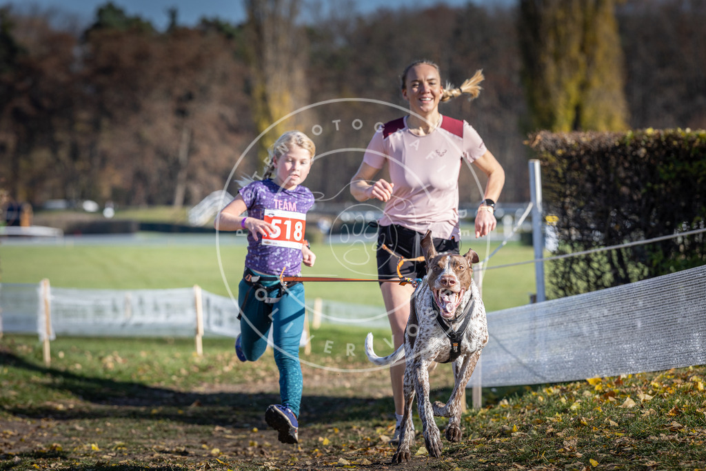 CaniXpix_DV3A8060 | Hundefotografie, Tierfotograf, Pfotenfotografie, Fotoshooting Hund, Hunde Portrait, Hundesport, Hundeportraits, Heideshooting, Hunde, Sportfotograf, Hundefotograf, Turnierhundsport, THS,  - Realisiert mit Pictrs.com