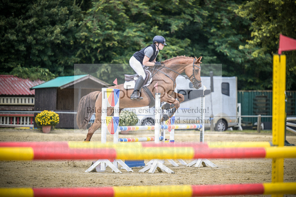 DOS_8440 | Entdecke hochwertige Reitturnierfotos von Foto Oger. Professionell, emotional und authentisch – jetzt Lieblingsmomente im Shop bestellen.Deutschlandweite Turnierfotografie. - Realisiert mit Pictrs.com