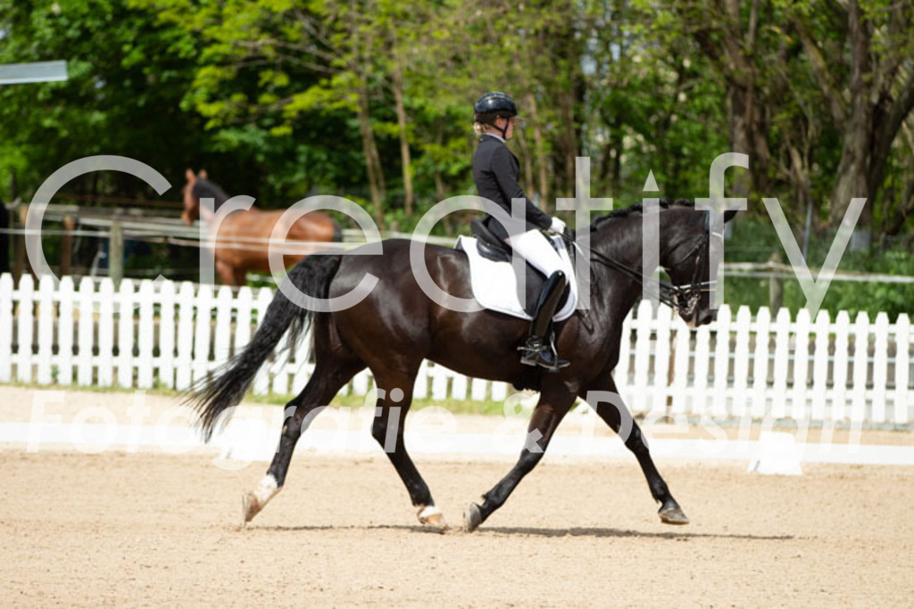 IMG_5926 | Creatify Fotografie