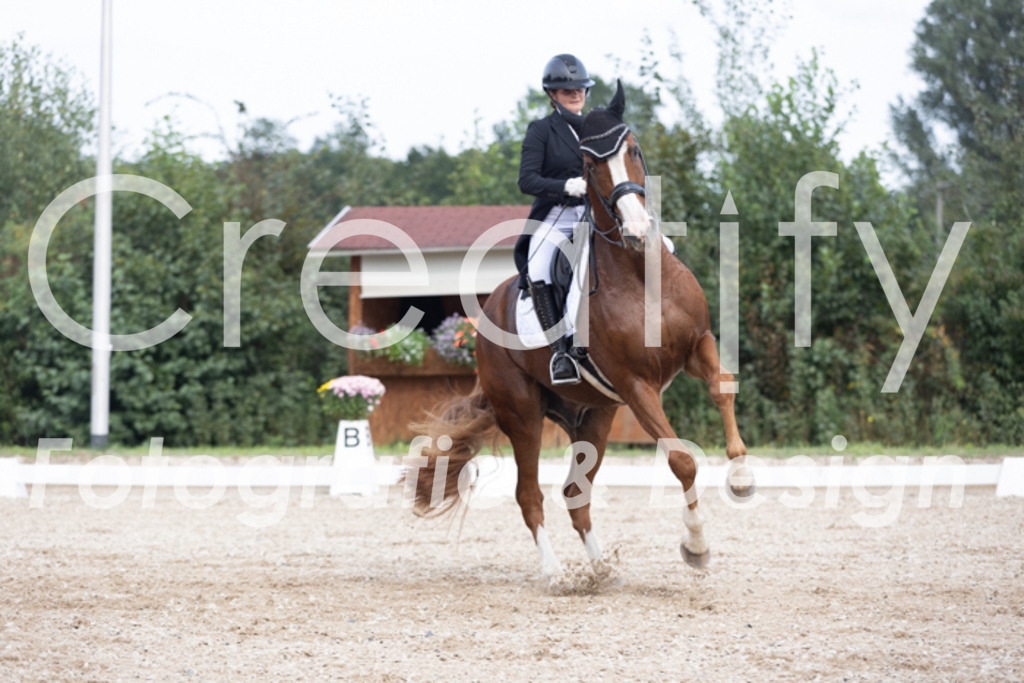 IMG_4796 | Creatify Fotografie