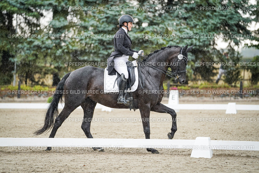 DSC08256 | Pferdegrafie