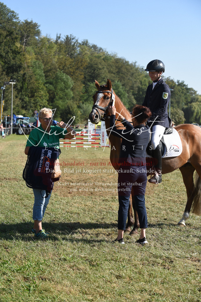 DSC_5434 | Pferde- und Turnierfotografie in Westsachsen. Pferdeportraits, Auftragszeichnungen und intuitive Kunst.