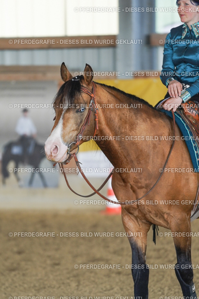 DSC09988 | Pferdegrafie