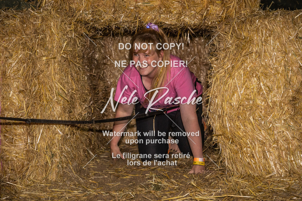 nelerasche_FrNacht_445 | nelerasche