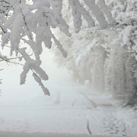 Winterlicherweg