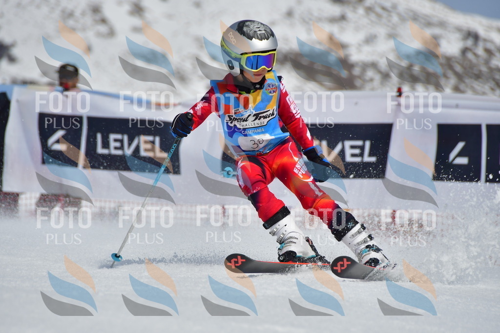 _DSC6864 | holidayphoto