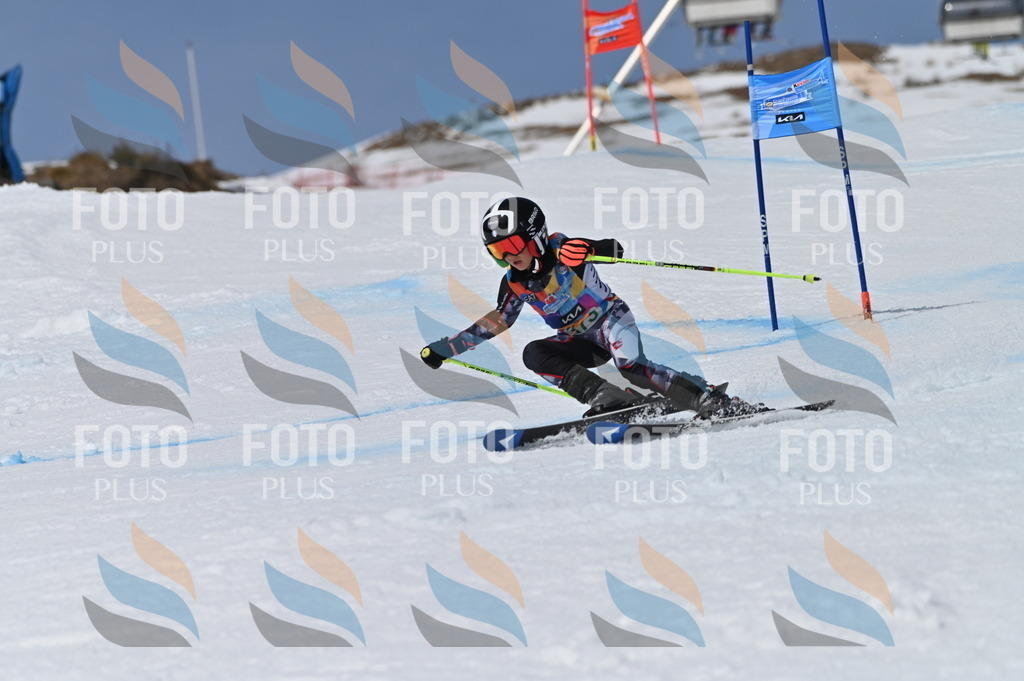 BGV_7376 | holidayphoto