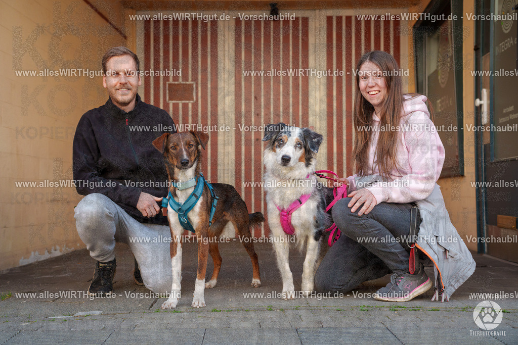 Pfötchenmarkt Nettetal-Lobberich 2026 - Nettetal-Tag - Daniel Wirth - www.allesWIRTHgut.de - @allesWIRTHgut_Tierfotografie 7R508048 | Professionelle Tierfotografie in Mönchengladbach von Daniel Wirth (allesWIRTHgut). Liebevolle & natürliche Bilder von Hunden & Katzen für unvergessliche Erinnerungen.