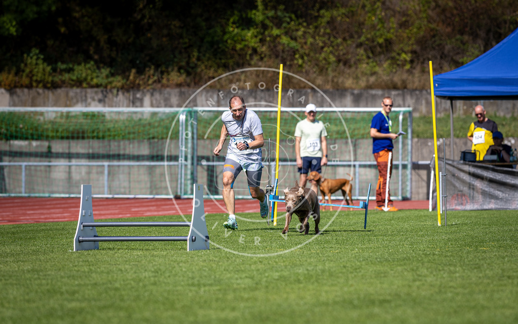 Pfotenfotografie_DV3A8032 | Hundefotografie, Tierfotograf, Pfotenfotografie, Fotoshooting Hund, Hunde Portrait, Hundesport, Hundeportraits, Heideshooting, Hunde, Sportfotograf, Hundefotograf, Turnierhundsport, THS,  - Realisiert mit Pictrs.com