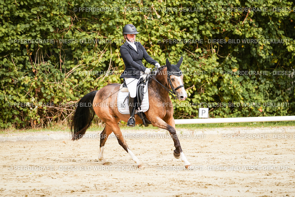 DSC02832 | Pferdegrafie