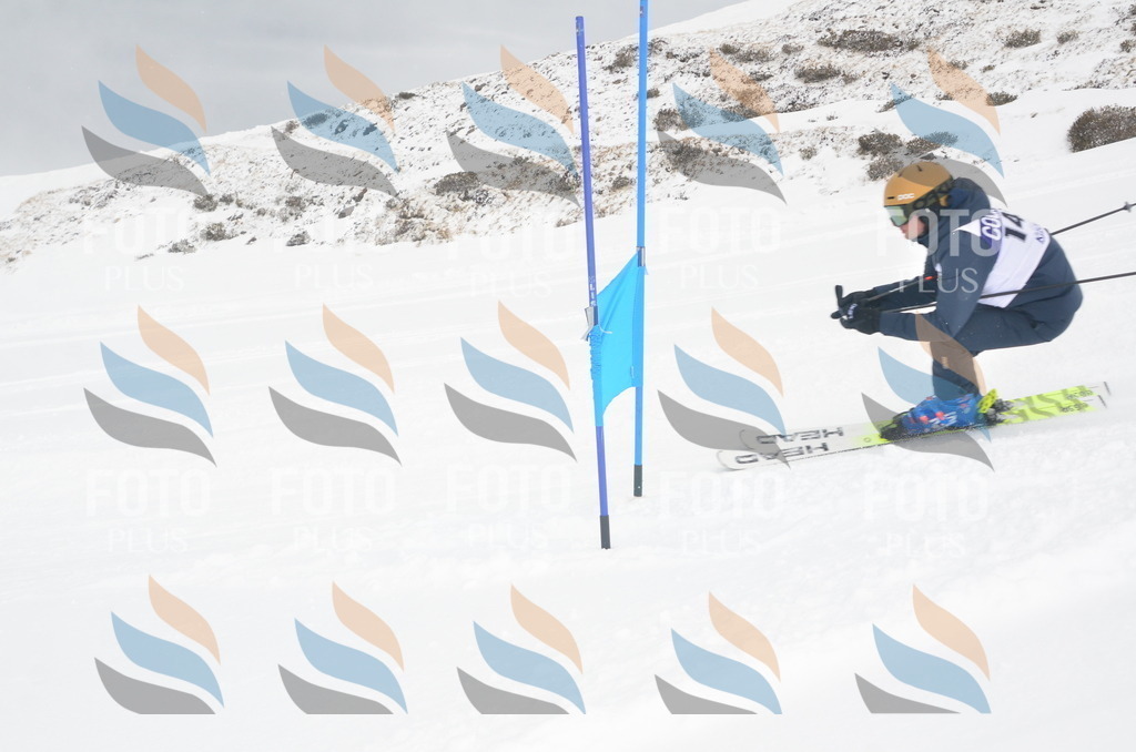 A6183 | holidayphoto