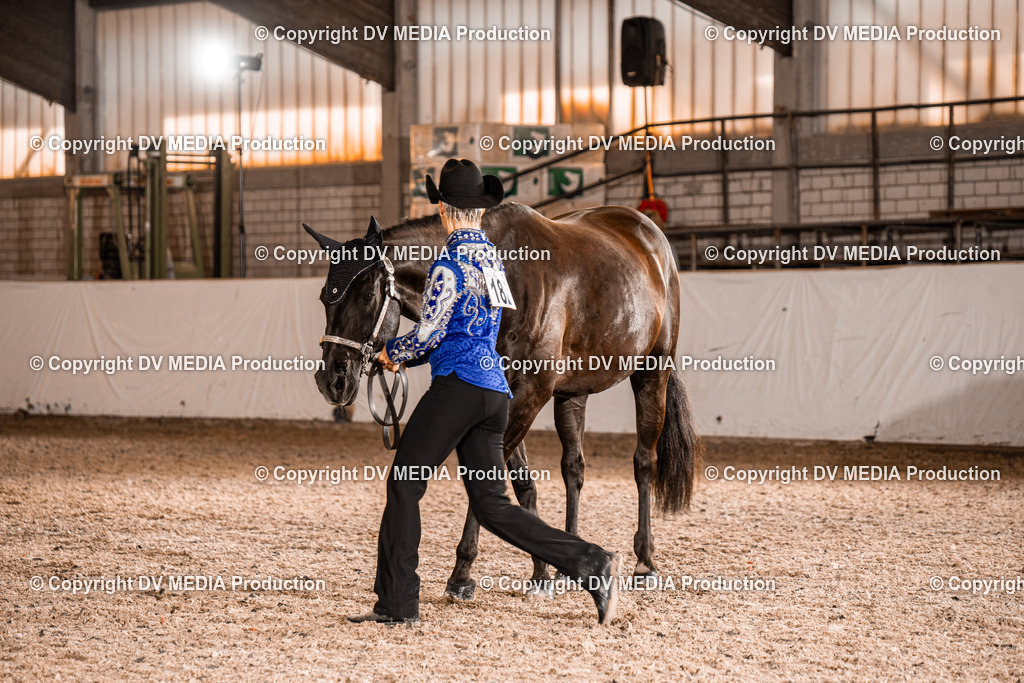 ZH100188 | dv-media-shop - Realisiert mit Pictrs.com