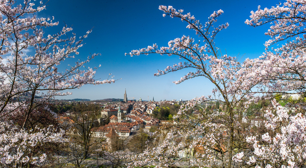 Stadt Bern im Frühling, Schweiz | Die ideale Geschenkidee für Naturliebhaber. Naturbilder von Marcel Gross Photography für ihr Zuhause in den verschiedensten Formaten und Materialien. - Realisiert mit Pictrs.com