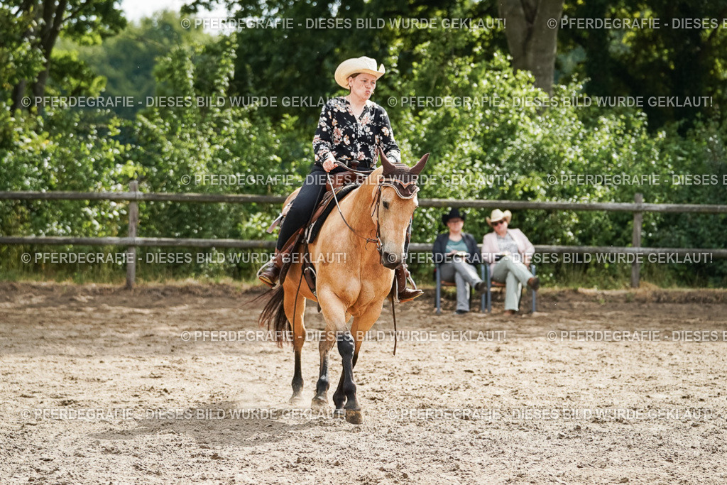 DSC04205 | Pferdegrafie