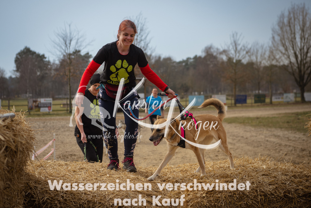 1133_ZZ94305 | kk-dogfotos