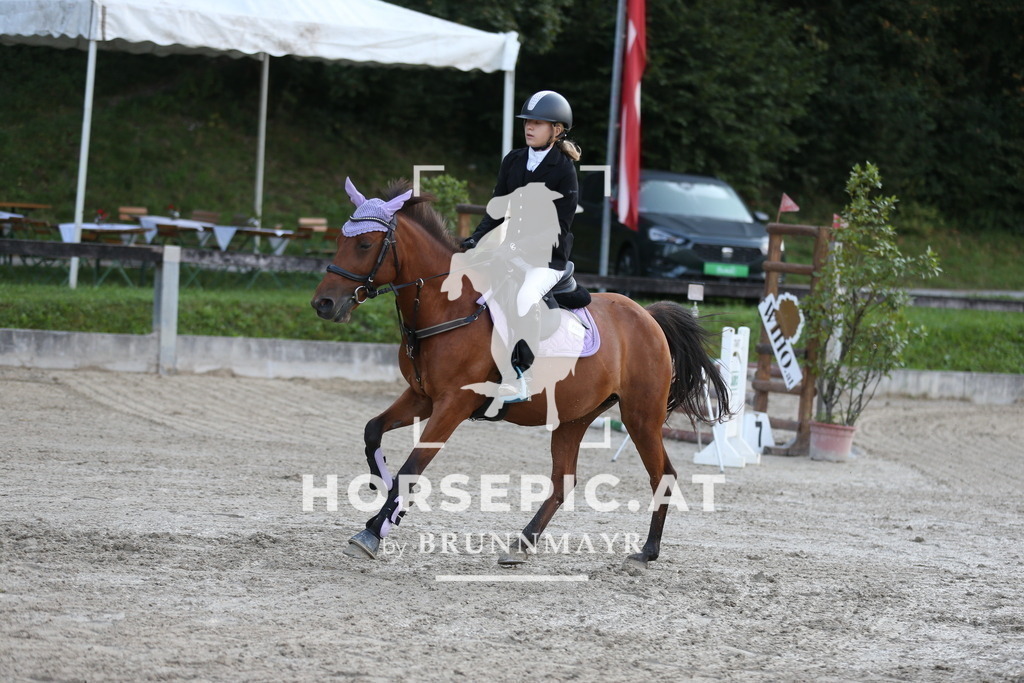 AS8V0183 | Willkommen bei Brunnmayr - Design & Fotografie – Ihrem Spezialisten für Reitturniere und Pferdeveranstaltungen in Oberösterreich, Salzburg und Bayern! Seit über 17 Jahren sind wir leidenschaftlich dabei.