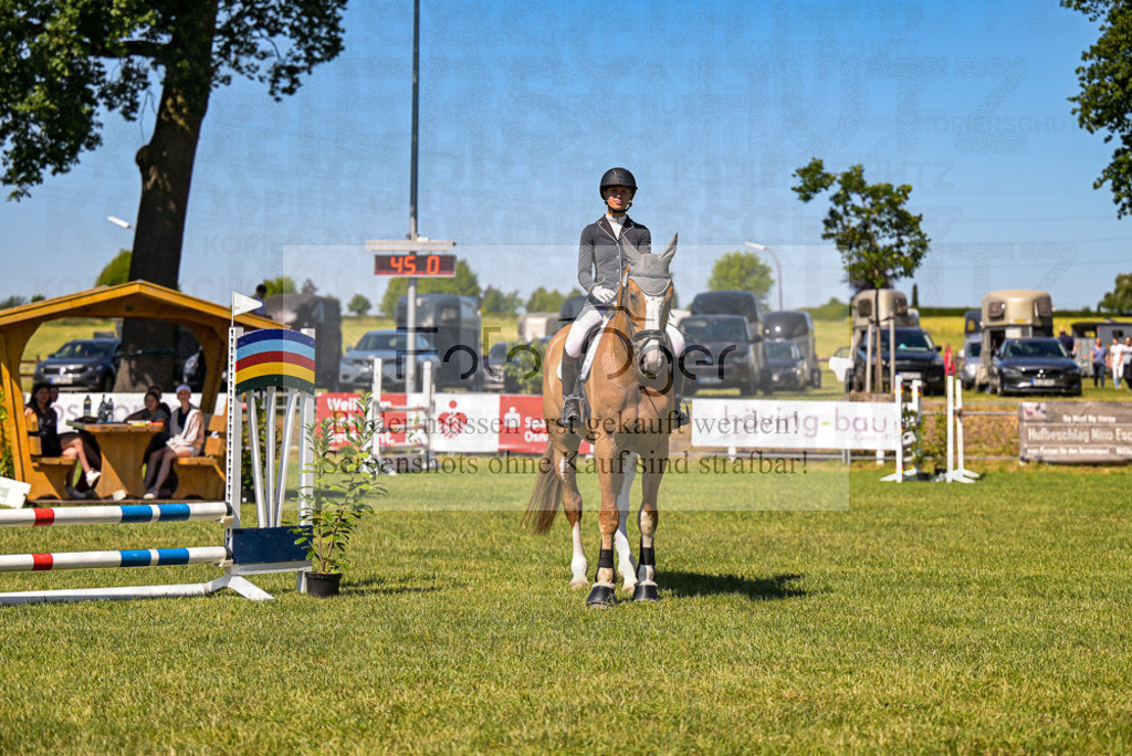 Reitturnier Voxtrup | Entdecke hochwertige Reitturnierfotos von Foto Oger. Professionell, emotional und authentisch – jetzt Lieblingsmomente im Shop bestellen.Deutschlandweite Turnierfotografie. - Realisiert mit Pictrs.com