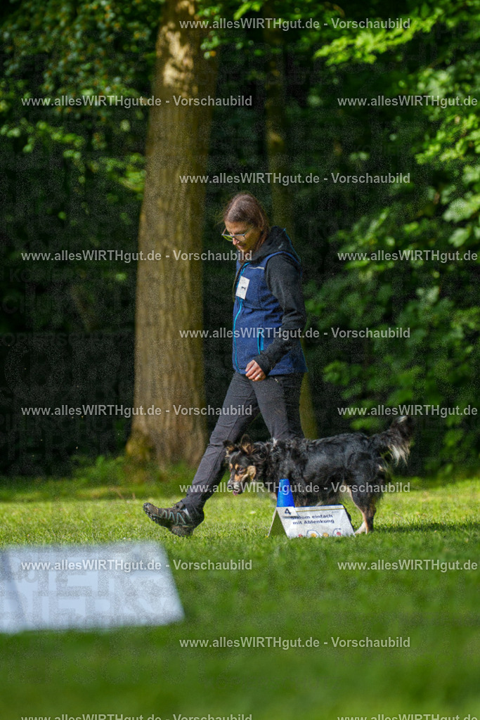 @allesWIRTHgut_Tierfotografie - www.allesWIRTHgut.de - 082647-7R506189 | Professionelle Tierfotografie in Mönchengladbach von Daniel Wirth (allesWIRTHgut). Liebevolle & natürliche Bilder von Hunden & Katzen für unvergessliche Erinnerungen.