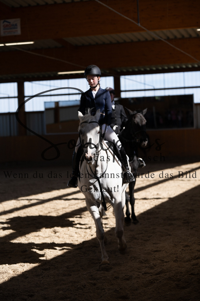 A7V02191 | Pferdefotograf