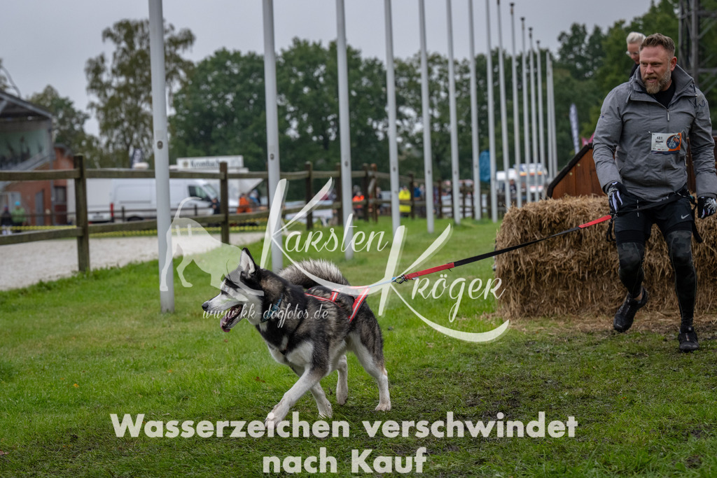 1127-94731 | kk-dogfotos