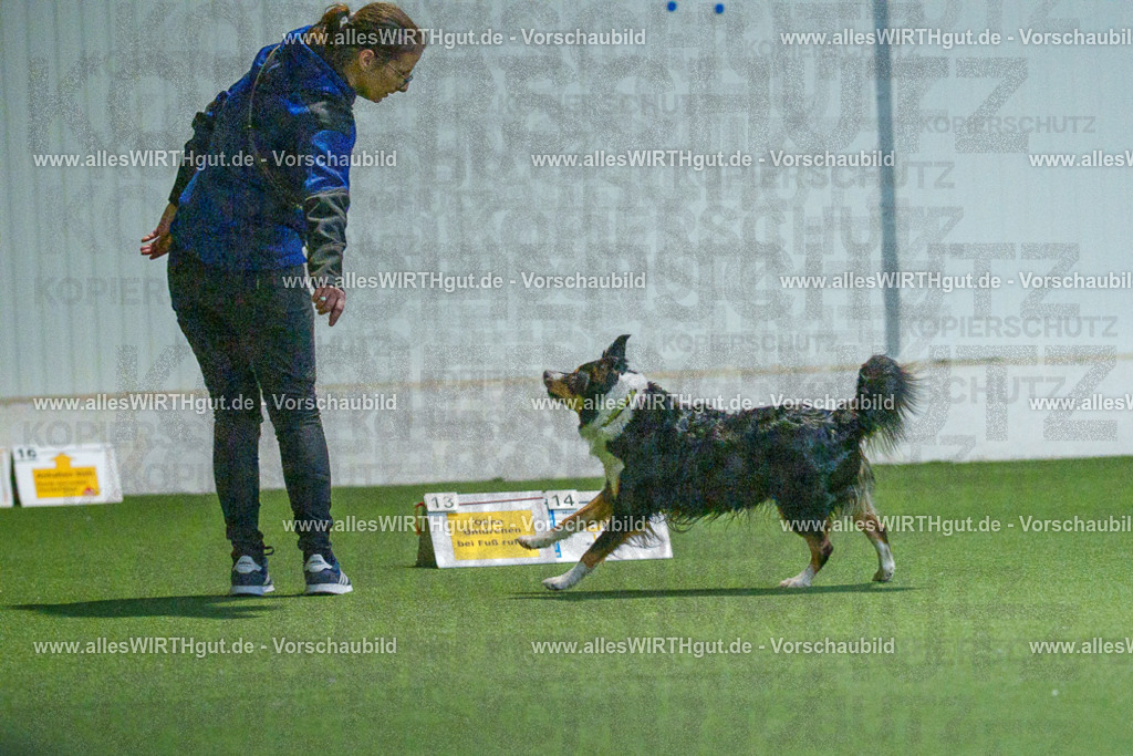 7R503154 | Professionelle Tierfotografie in Mönchengladbach von Daniel Wirth (allesWIRTHgut). Liebevolle & natürliche Bilder von Hunden & Katzen für unvergessliche Erinnerungen.