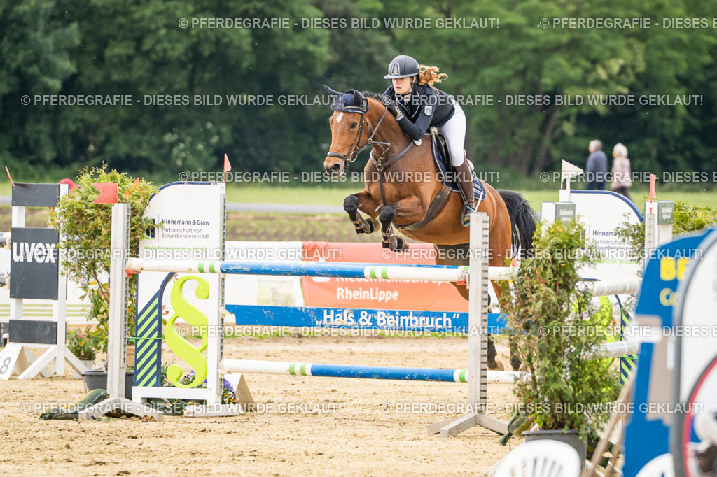 DSC06368 | Pferdegrafie