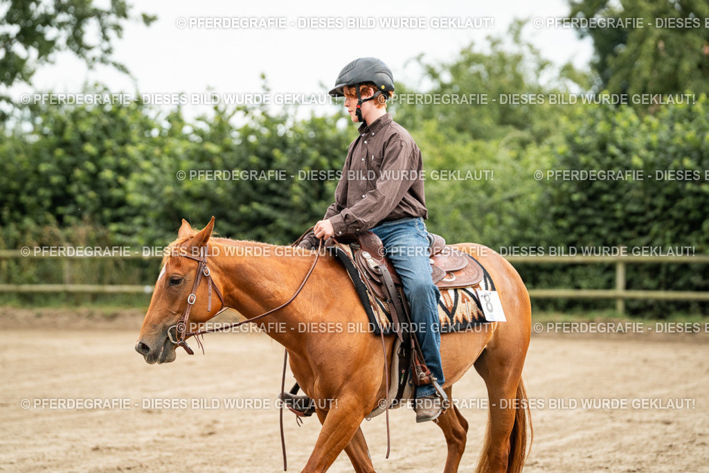 DSC04865 | Pferdegrafie