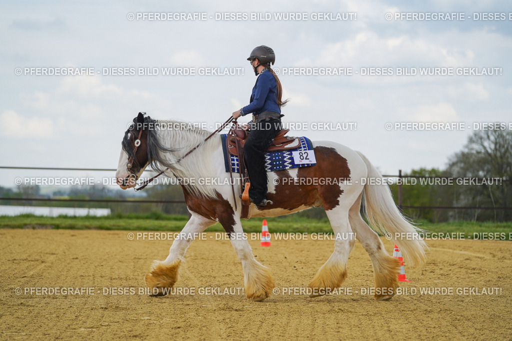 DSC05978 | Pferdegrafie