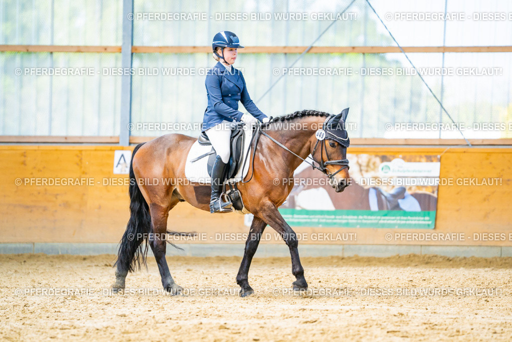 DSC08222 | Pferdegrafie