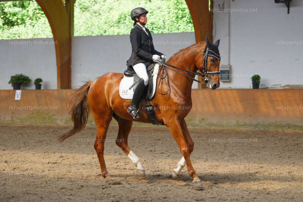 JHE_2065 | JoYa Fotografie - Realisiert mit Pictrs.com