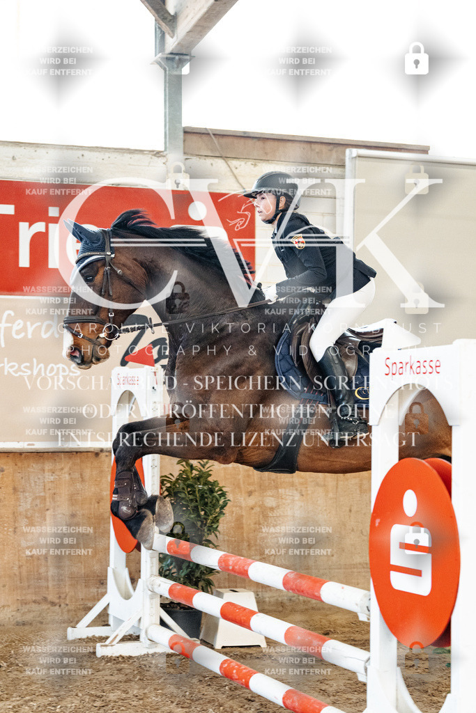 CK904419 | Turnierfotografie Pferdefotografie Trier Rheinland-Pfalz Pferdesport Reitsport Tierfotografie Sportfotografie Pferdevideo Pferdevideografie Equestrianvideography equestrianphotography  - Realisiert mit Pictrs.com