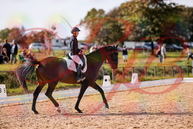2026_10_03_Siefer-Hof_133824_Z81_95981739 | Professionelle Reitsport-, Turnier- und Eventfotografie von Robert Broda. Galerien mit ausgewählten und bearbeiteten Bildern direkt online ansehen und bestellen.