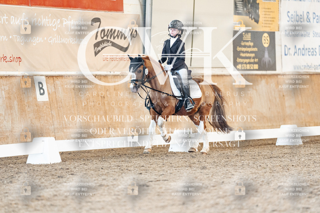 CK907315 | Turnierfotografie Pferdefotografie Trier Rheinland-Pfalz Pferdesport Reitsport Tierfotografie Sportfotografie Pferdevideo Pferdevideografie Equestrianvideography equestrianphotography  - Realisiert mit Pictrs.com