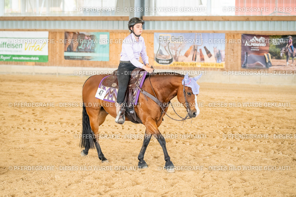 DSC07164 | Pferdegrafie