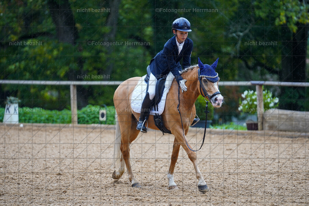 20221008-FAH02010 | Diessen am Ammersee, 2022, Dressur- und Springturnier, Reitsportbilder, Turnierfotografen Bayern, Pferdefotografen, Fotoagentur Herrmann, Turnierbilder