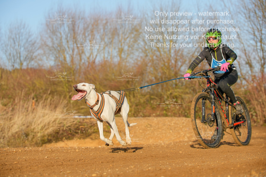 So_DVGBSP2025_Bike (297 von 358) | stephaniefillaphotographie - Realisiert mit Pictrs.com